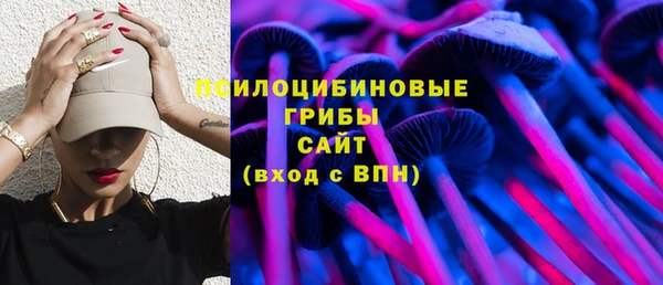 хмурый Дмитровск