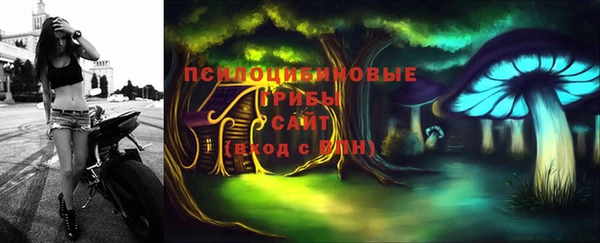 кристаллы Дмитриев